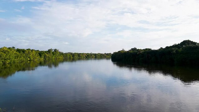 The Amazonian forests of Loreto in Peru, have a lot of vegetation and in many cases are not flooded by rivers, igapos or varzea are common terms for these floodable forests in the Peruvian Amazon