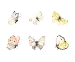 Watercolor abstract butterflies, isolated set of delicate flying butterflies for your design.