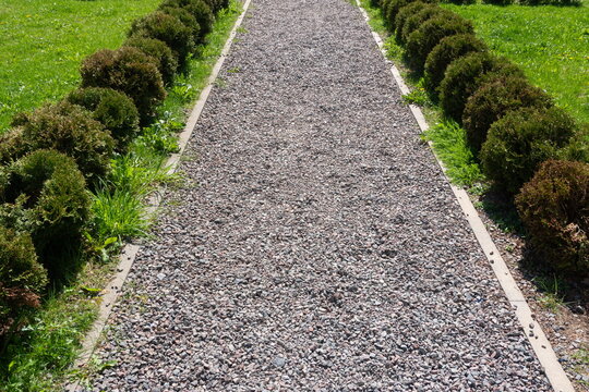 pedestrian path from small gravel in the garden, along the flower bed with red flowers, green grass, selective focusing