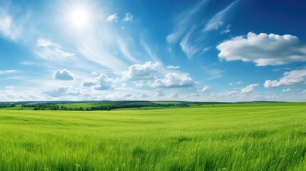 Fototapeta premium Panoramic natural landscape with green grass field and blue sky with clouds with curved horizon line. Panorama summer spring meadow.. Generative AI
