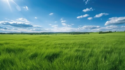 Obraz premium Panoramic natural landscape with green grass field and blue sky with clouds with curved horizon line. Panorama summer spring meadow.. Generative AI