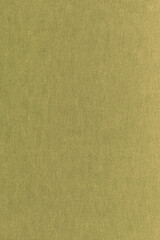 Fototapeta premium Abstract textured background with fine details