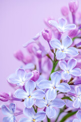 Abstract soft lilac flower background. vertical photo