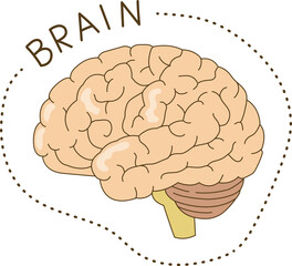 Human Organs Doodle Style in Color