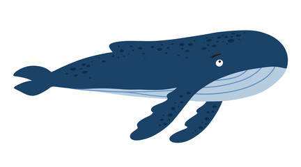 Hand drawn cute blue humpback whale, isolated vector illustration in flat cartoon style