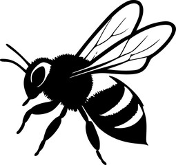 Honeybee | Black and White Vector illustration