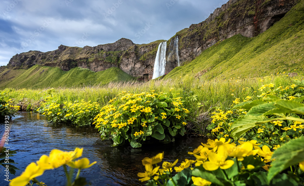 Fototapete Amazing nature landscape of Iceland. View on the Seljalandsfoss waterfall, is a one of the most beautiful waterfalls on the Iceland. popular tourist attraction. Best famouse travel locations.