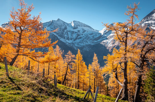 the mountain autumn landscape with colorful forest and rocky mountains on background