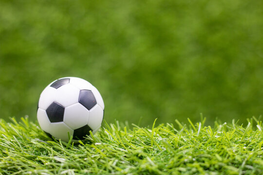 The soccer ball is on the green grass. The ball is made of black and white leather. It is round and inflated. The ball is used in the game of soccer.