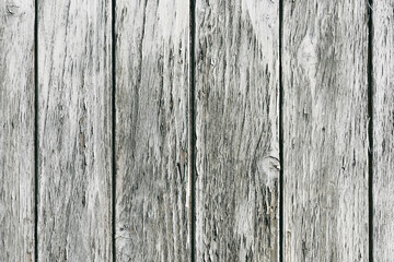 Closeup view of an old shabby wooden planks with cracked grey paint. Rustic background or texture.
