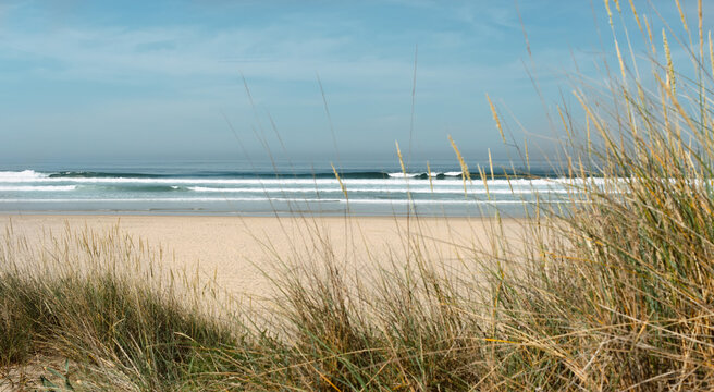Ocean coast with sandy beach and green grass in Portugal. Sea waves for surfing and blue sky on background