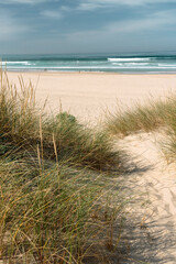 Beach nature landscape in the morning, oceanside and path to sandy coastline and big ocean waves in Portugal