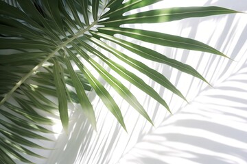 Soft Foliage of Tropical Palm Tree - Closeup 3D Interior Mockup, Ai generative
