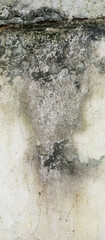 The texture of the cement wall that has been painted for the background, taken up close