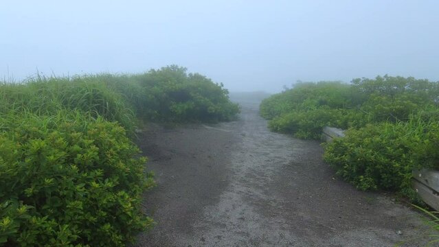 島根県三瓶山の山頂を霧の中、移動撮影  4K  夏山の風景をPOVショット  2022年7月10日