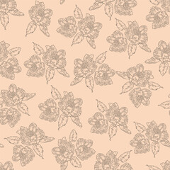 Fototapeta premium Blossom peony flower pink seamless pattern sketch drawing.