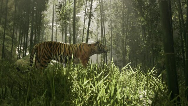 colossal Bengal tiger prowls through a grove of bamboo, searching for its prey in the bright sun