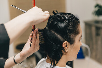 Fototapeta premium hairdresser makes a haircut to a woman in the salon. The hairdresser cuts wet hair, combing with a comb. client with short hair. back view