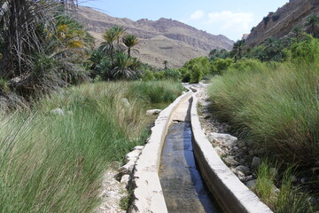 Bewässerungskanal im Wadi Bani Khalid im Oman