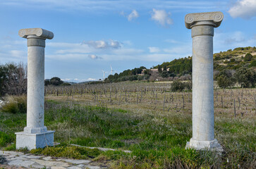 ionic order classic Greek columns and vineyard in Ovacik (Cesme, Izmir province, Turkiye)