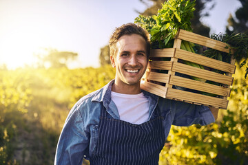 Man, farm and crate with produce in portrait with harvest, success and happiness for agriculture....