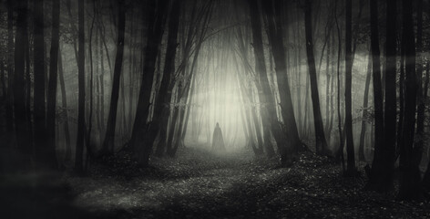 mysterious ghost in dark woods at night © andreiuc88