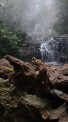 Fototapeta premium waterfall in the forest