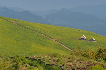 Krajobraz wiosenny w zielonych górach Bieszczady,
Tło naturalne.