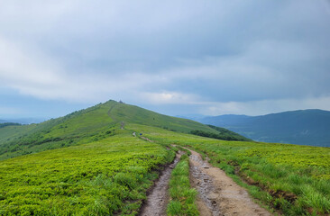 Fototapeta na wymiar Krajobraz wiosenny w zielonych górach Bieszczady, Tło naturalne.