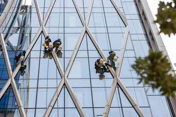 Workers washing windows of the skyscraper building. Window washer workers are cleaning window class...