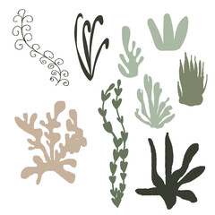 Fototapeta premium Sea plants. Vector illustrations.