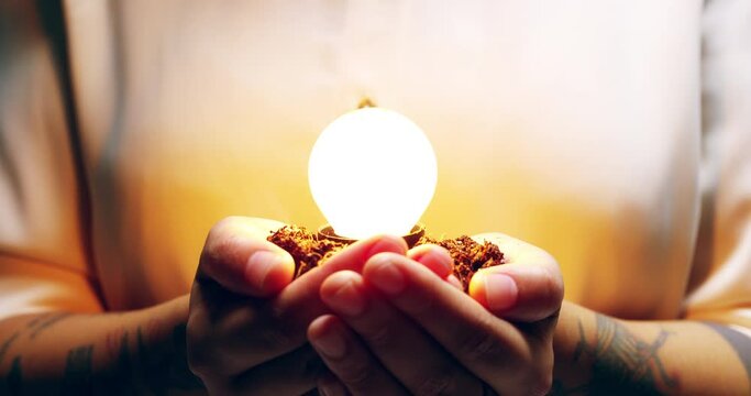 Lightbulb, soil and eco energy in hands for sustainable business idea, electricity and growth. Closeup of woman with dirt and light for electricity, ecology or power for saving environment and plant