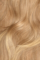Naklejka premium Blond hair close-up as a background. Women's long blonde hair. Beautifully styled wavy shiny curls. Hair coloring. Hairdressing procedures, extension.