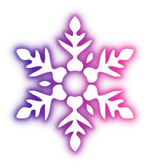 Collection of snowflake neon