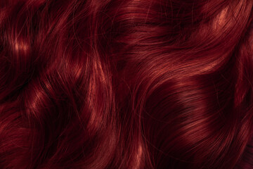 Dark red hair close-up as a background. Women's long brown hair. Beautifully styled wavy shiny...
