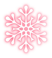 Collection of snowflake neon
