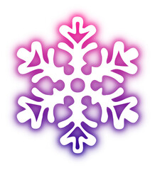 Collection of snowflake neon