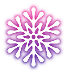 Collection of snowflake neon