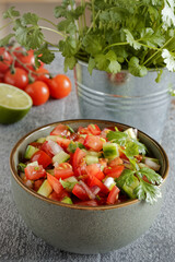 Pico de Gallo salsa in a bowl. Traditional Mexican cuisine dish with tomato, cucumber, onion and fresh coriander.