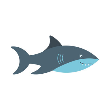 Fish, shark, sea animal. An inhabitant of the sea world, a cute underwater creature.