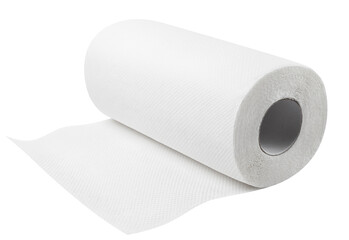 White paper towel roll, cut out