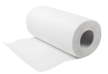 White paper towel roll, cut out