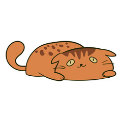 Cat Breed hand-drawn illustration_Abvssinian