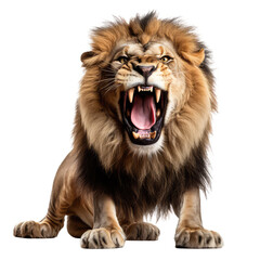 roaring lion on a transparant background, PNG, Generative Ai - obrazy, fototapety, plakaty