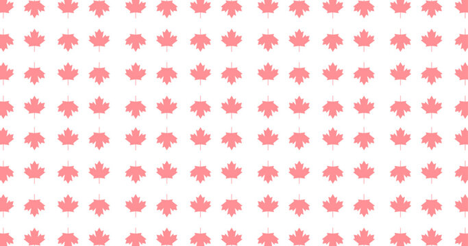 seamless pattern red Canada maple leaf background.
