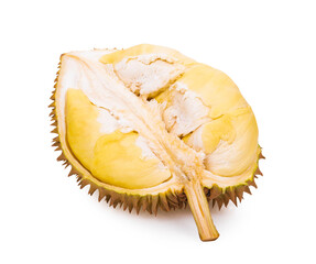 durian fruit isolated on white background