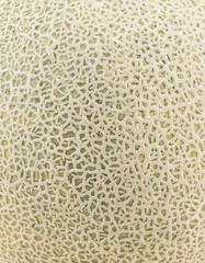 Melon isolated on white background.