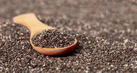 Chia seeds close-up with a wooden spoon. Chia seeds macro. Dry healthy supplement for proper nutrition.