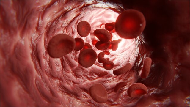 Blood in the veins, blood vessels, white blood cells and platelets. Healthy blood tests. 3d render