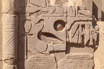 Ancient egyptian hieroglyphics and pharaonic symbols carved at Karnak temple in Luxor, Egypt 